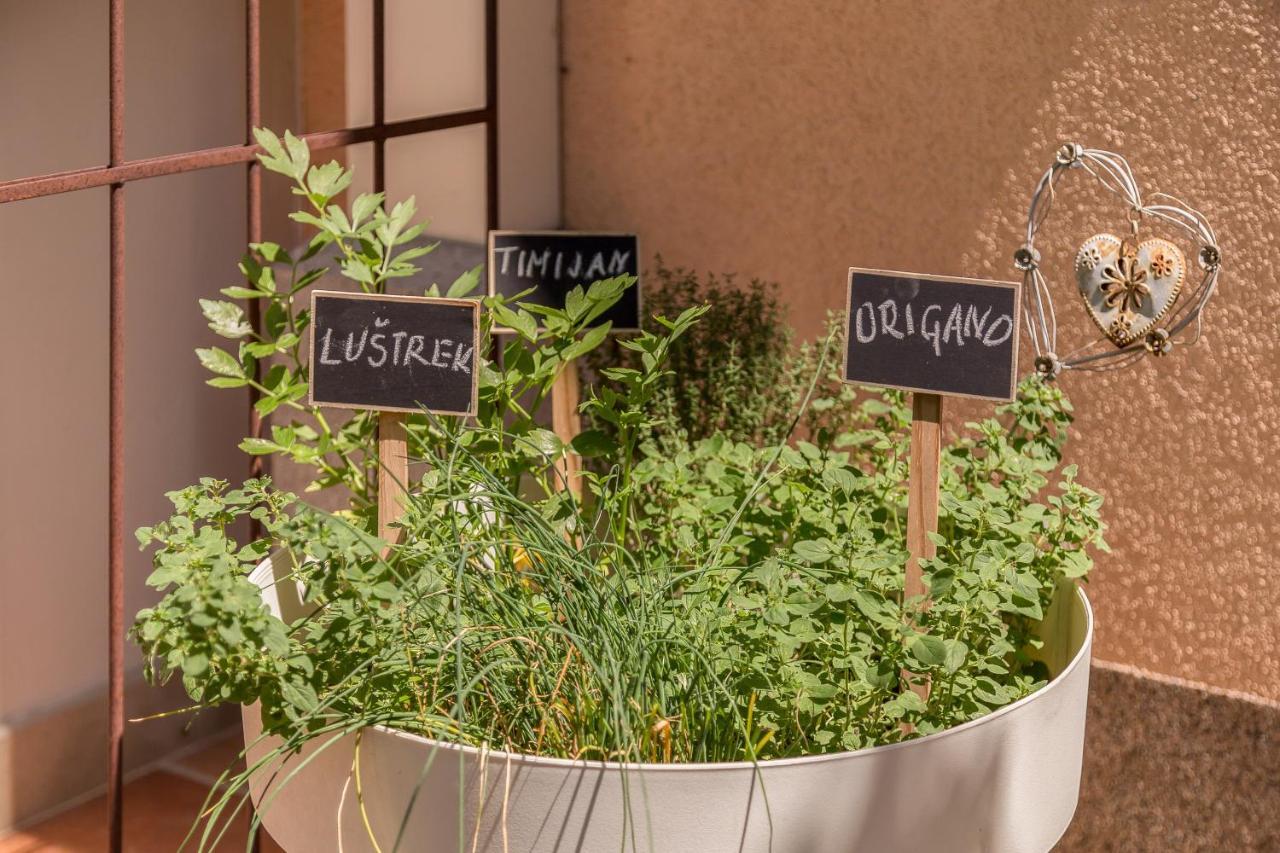 Apartma Summer Garden ブレッド エクステリア 写真