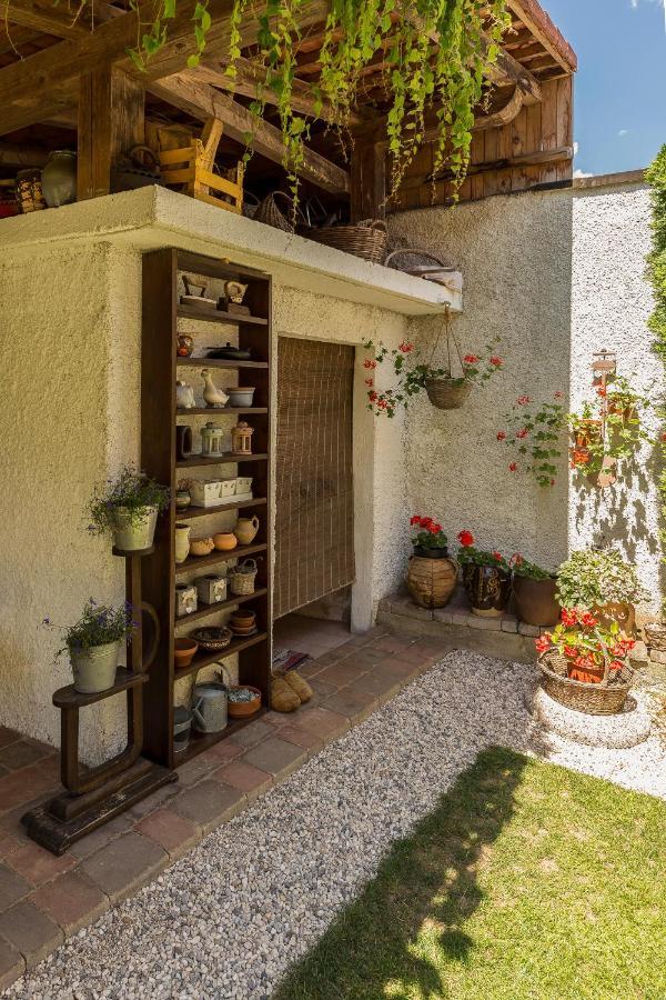 Apartma Summer Garden ブレッド エクステリア 写真